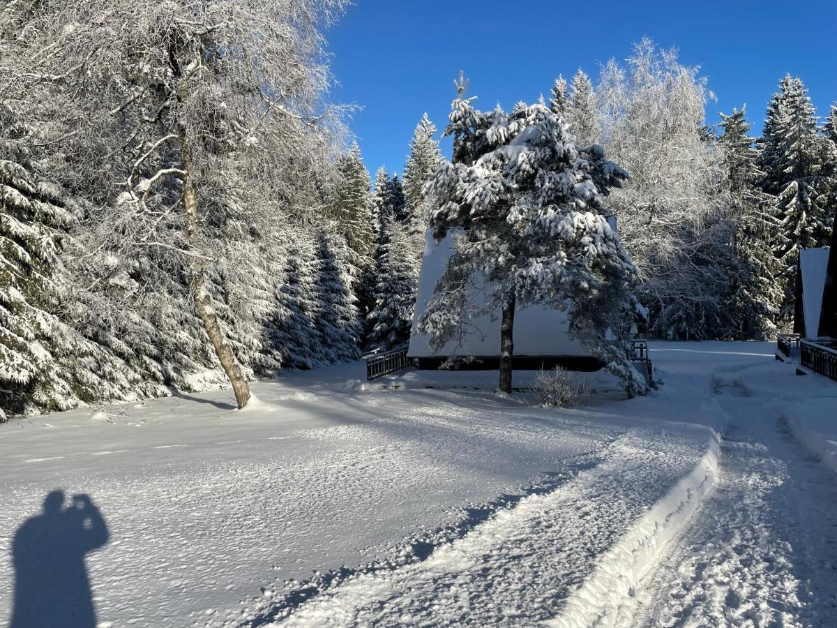 Hotel A Penzion Pegas Vlachovice المظهر الخارجي الصورة