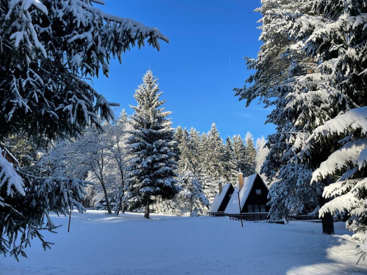 Hotel A Penzion Pegas Vlachovice المظهر الخارجي الصورة