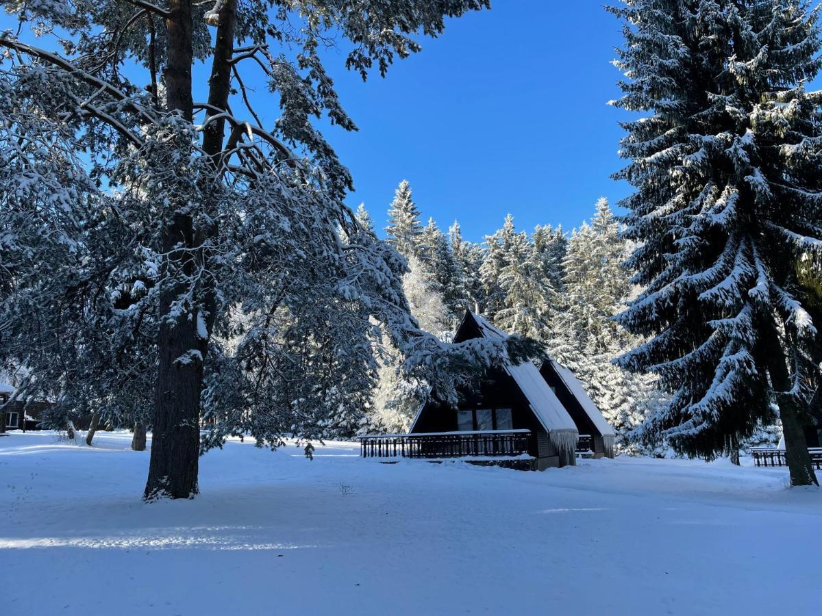 Hotel A Penzion Pegas Vlachovice المظهر الخارجي الصورة